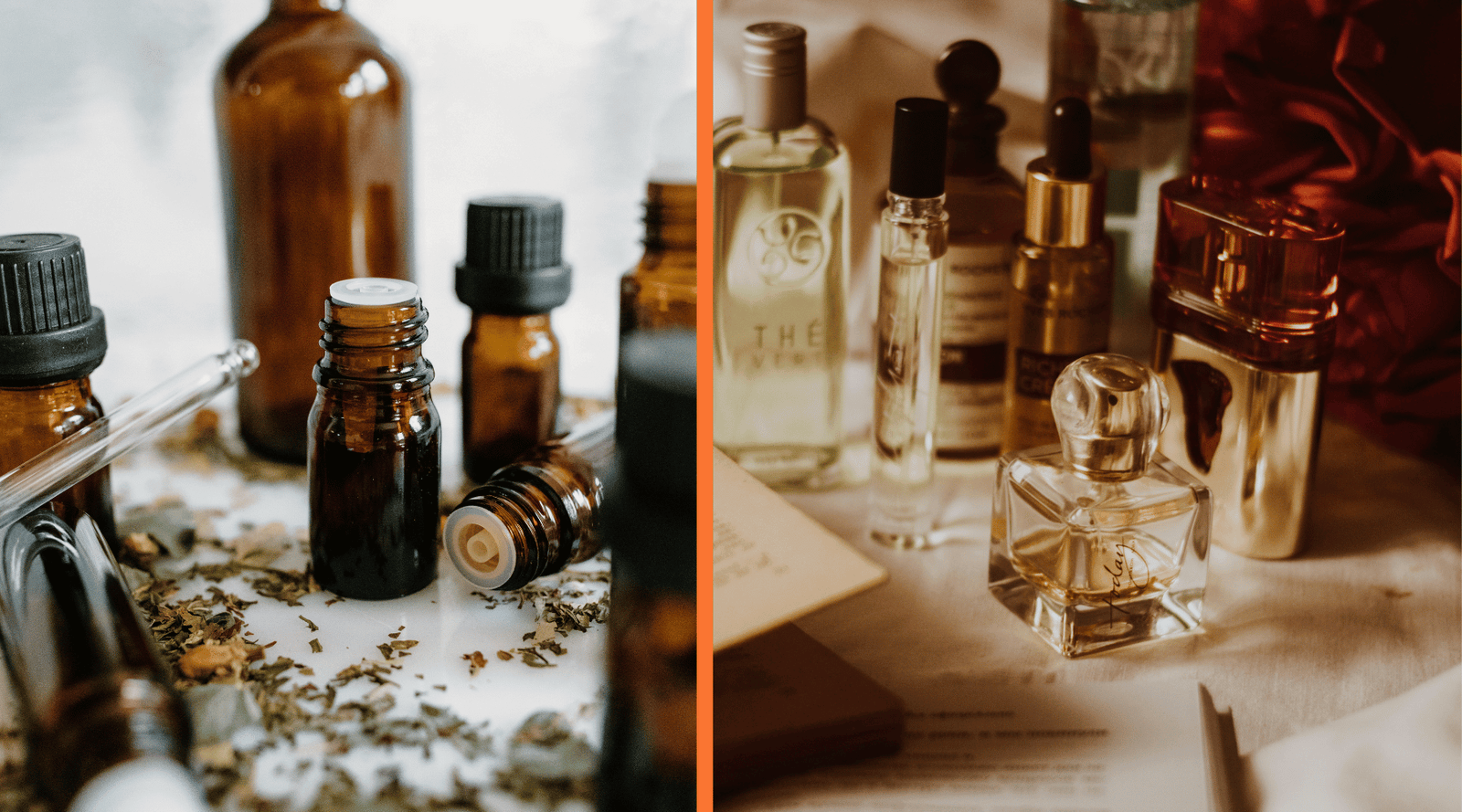 Understanding the Distinction: Fragrance Oils Versus Essential Oils‍