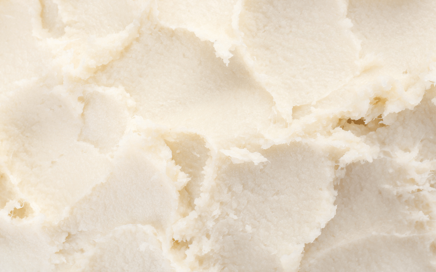 Grass Fed Tallow Skincare – Common Questions Answered