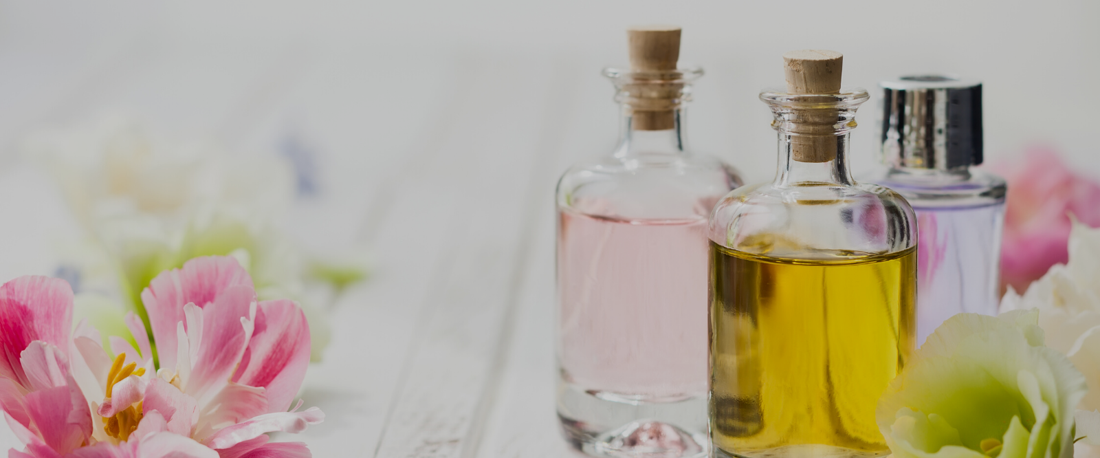 DOES HOLISTIC MEAN NATURAL?