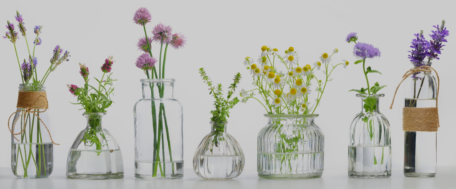 HOW TO USE ESSENTIAL OILS