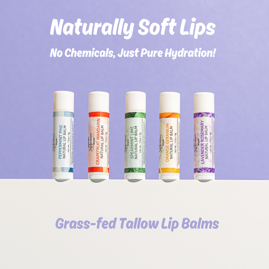 all 5 lip balm varieties